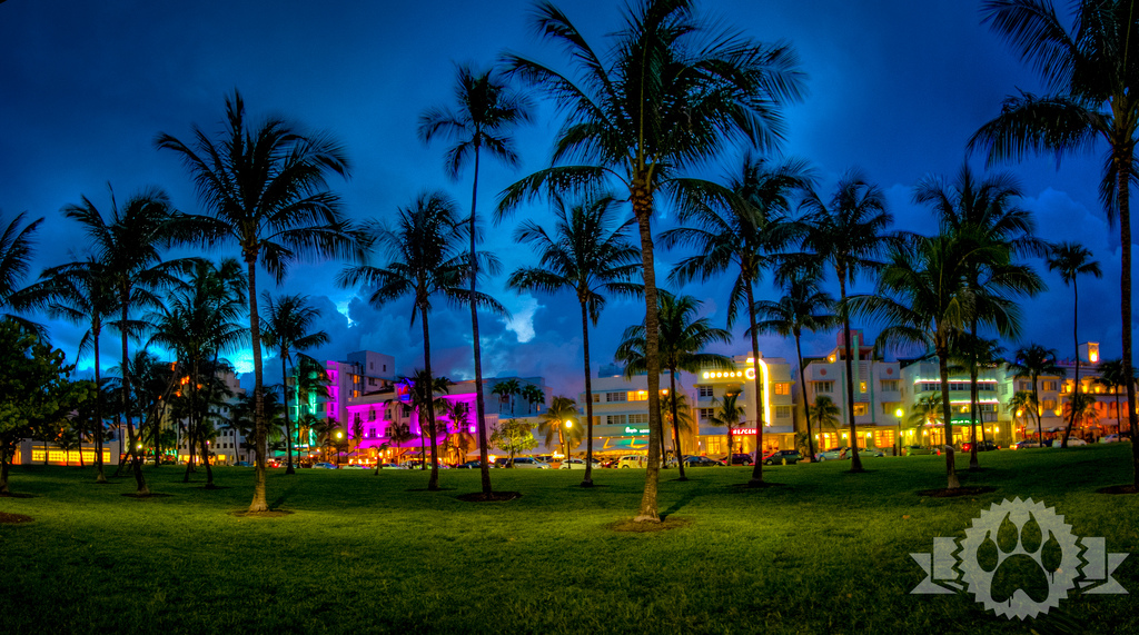 Masajes Eroticos En Miami Fl